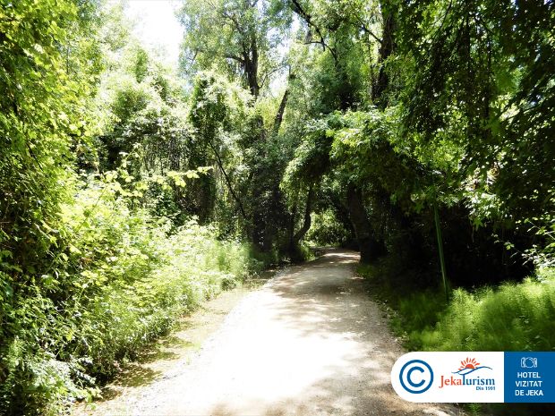 Poze Lykia Botanika Beach Fun & Club 13