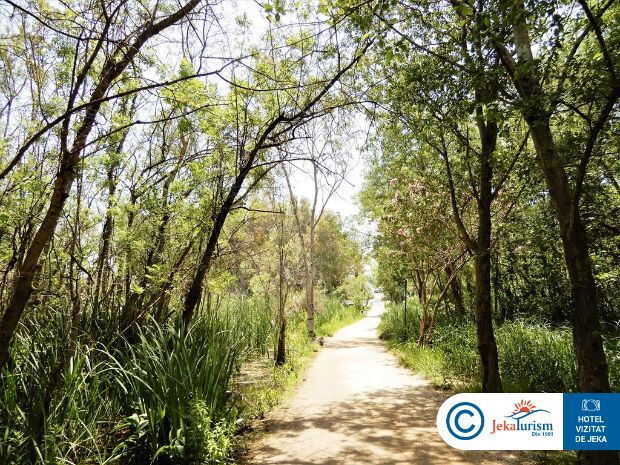 Poze Lykia Botanika Beach Fun & Club 14