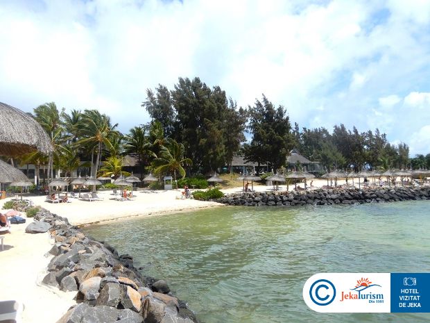 Poze Lagoon Attitude 15