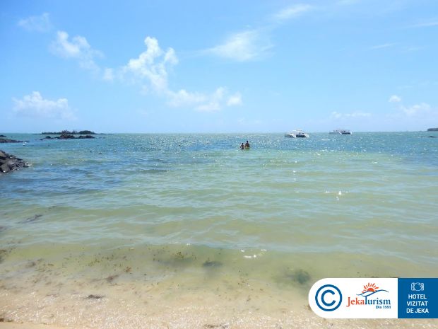 Poze Lagoon Attitude 16