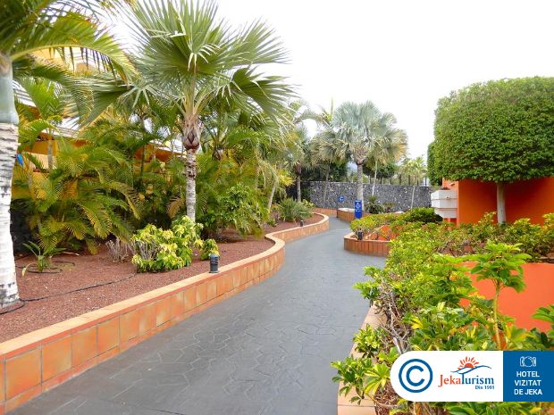 Poze Landmar Costa Los Gigantes 6