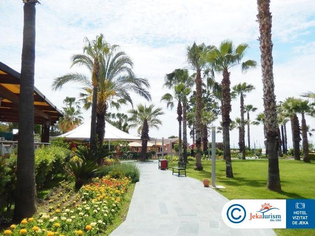 Poze Leodikya Kirman Premium 18