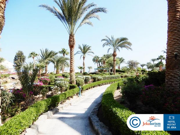 Poze Movenpick Resort & Spa El Gouna 7