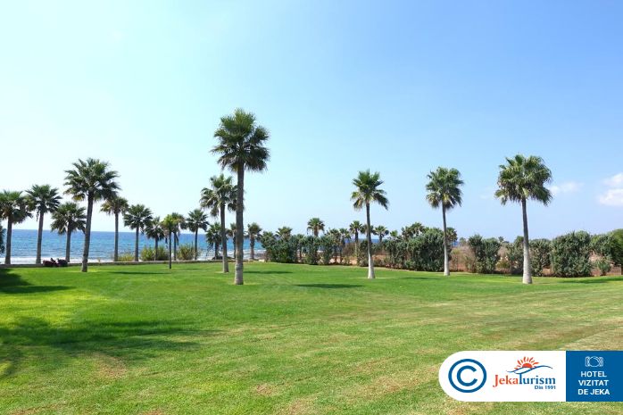 Poze Mare Ayia Napa 10