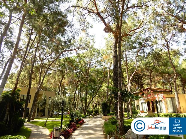 Poze Mirada Del Mar 14