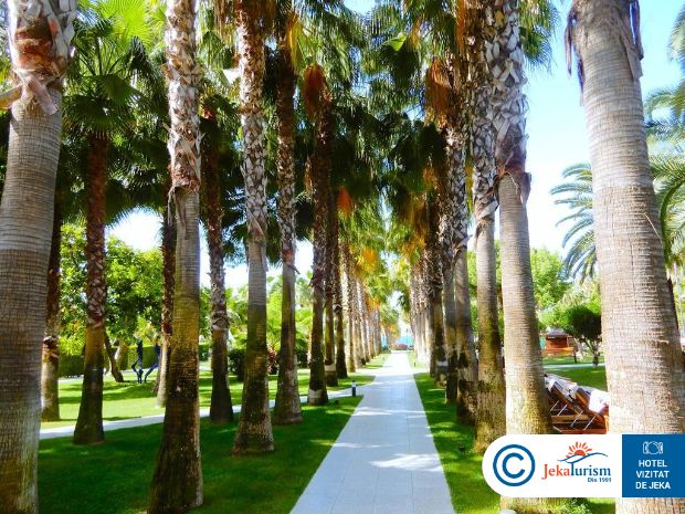 Poze Miramare Beach 23