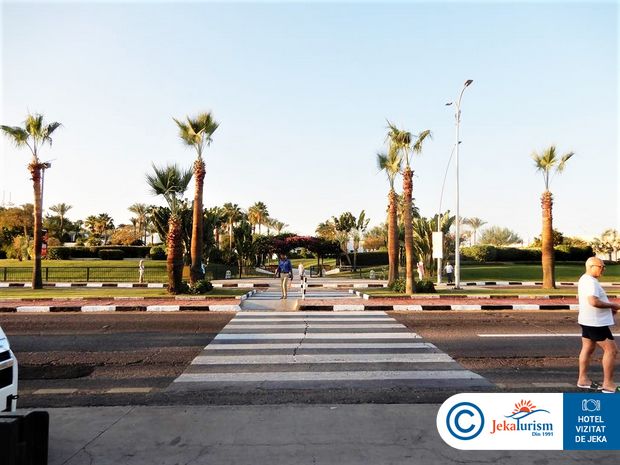 Poze Novotel Palm Resort 7