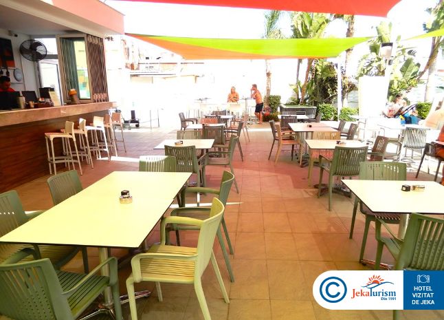 Poze Nicholas Color 10