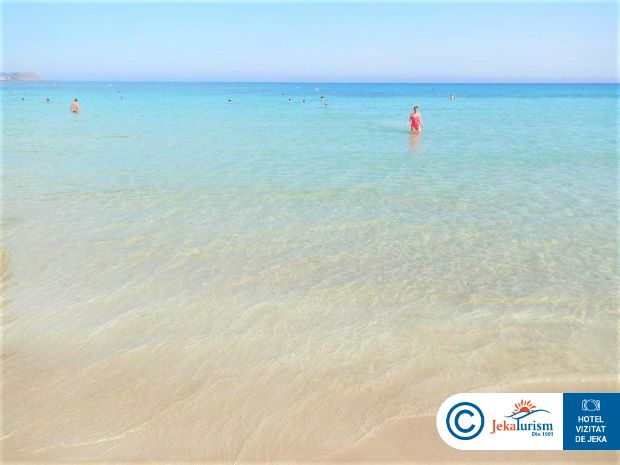 Poze Nicholas Color 15