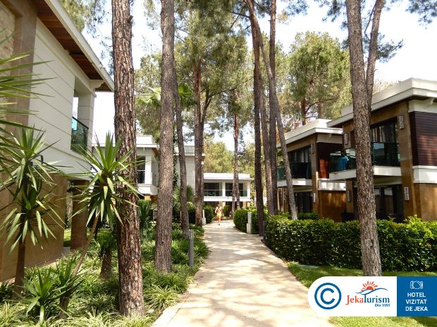 Poze Nirvana Mediterranean Excellence 18