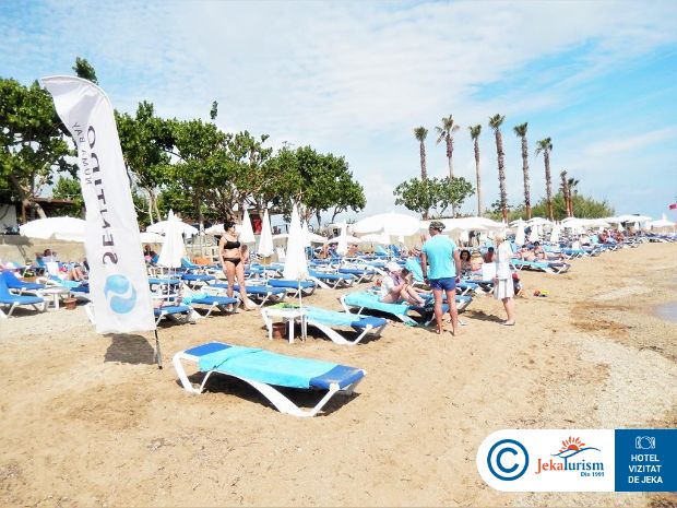 Poze Numa Bay Exclusive 18