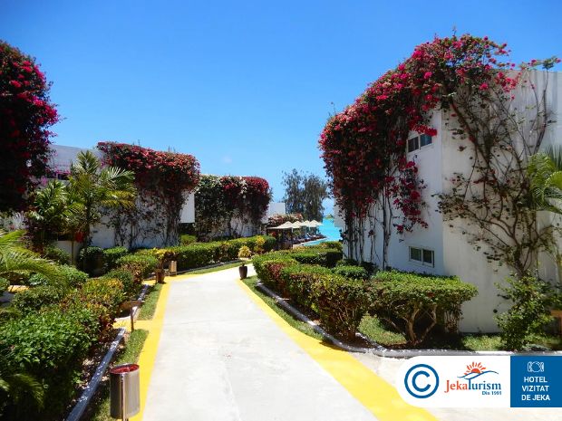 Poze Nungwi Dreams By Mantis 9