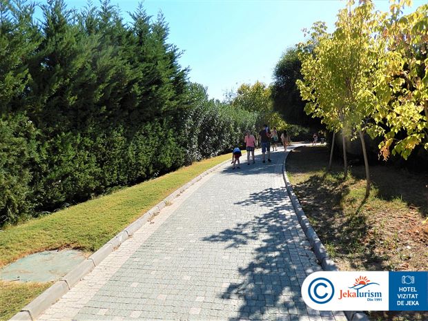 Poze Oz Side Premium 10