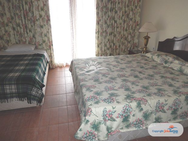 Poze Paleo Art Nouveau 11