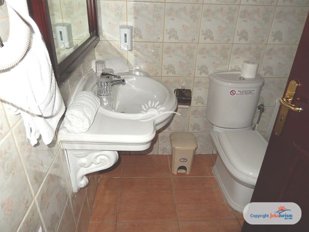 Poze Paleo Art Nouveau 12