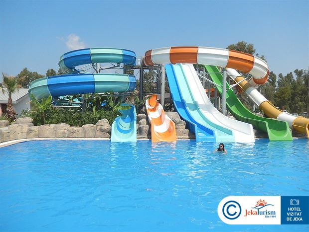 Poze Palm Wings Ephesus 13