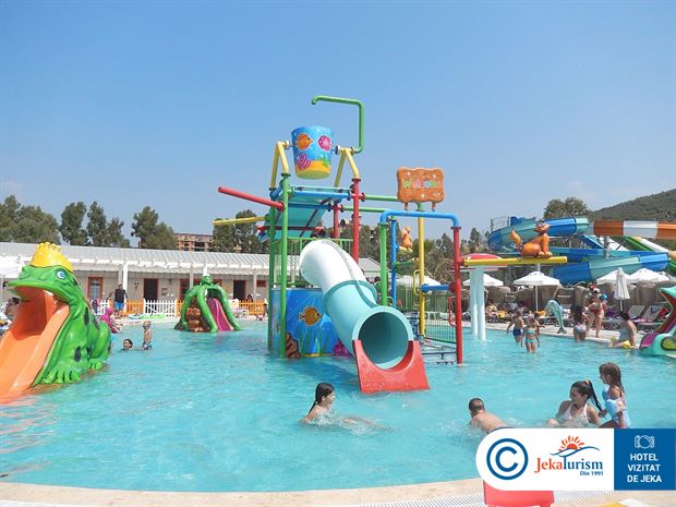 Poze Palm Wings Ephesus 14