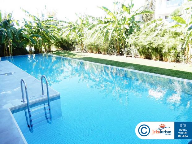 Poze Paloma Finesse 12