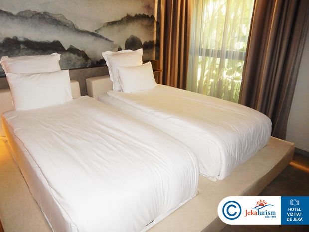 Poze Paloma Finesse 9