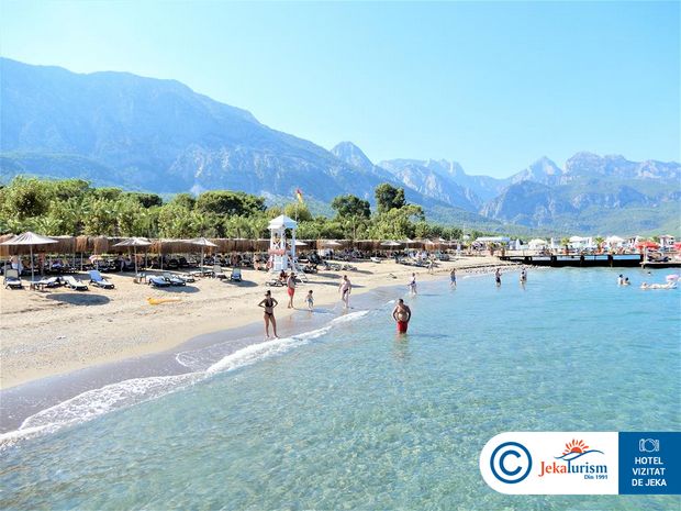 Poze Balmy Foresta 17