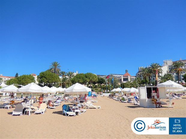 Poze Paloma Perissia 12