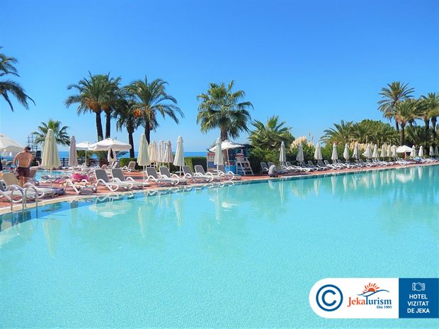 Poze Paloma Perissia 8