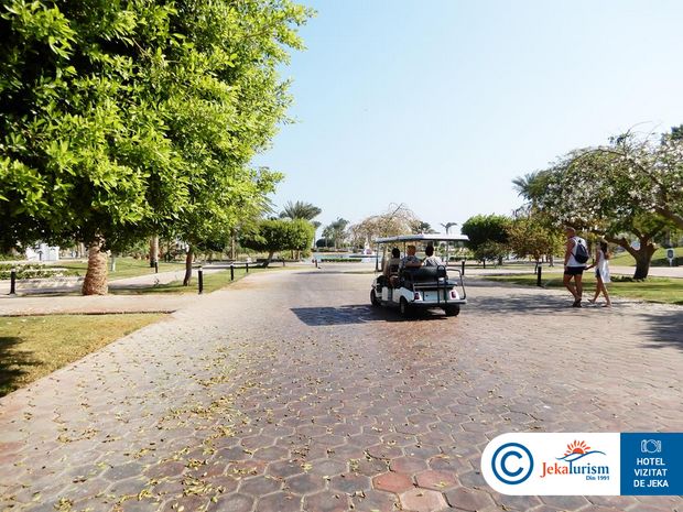 Poze Pharaoh Azur Resort 8