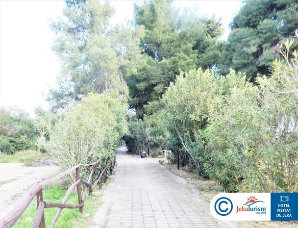 Poze Poseidon Sea Resort 11