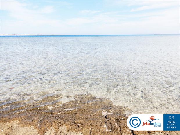 Poze Premier Le Reve 13