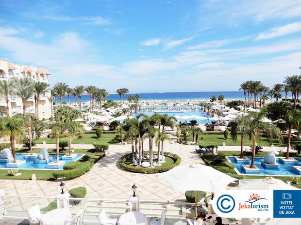 Poze Premier Le Reve 7