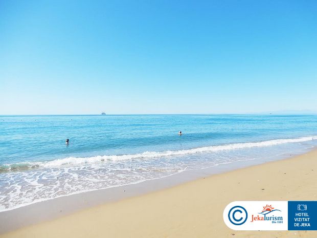 Poze Paloma Finesse 21