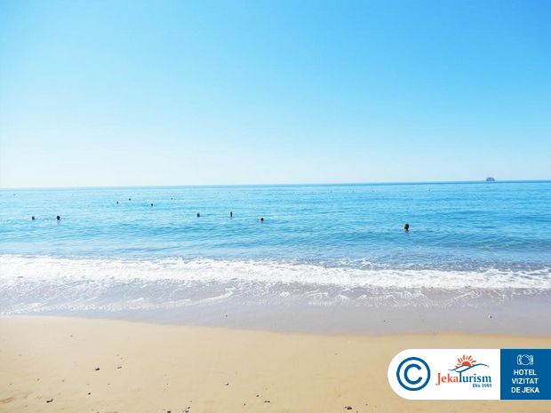 Poze Paloma Finesse 22