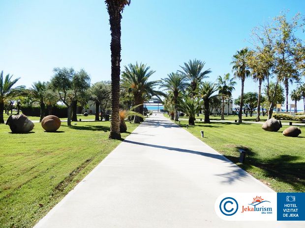 Poze Paloma Orenda 15