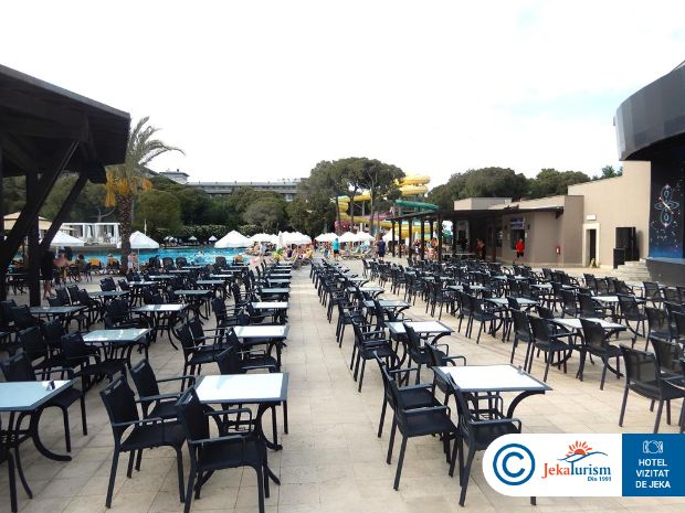 Poze Papillon Ayscha 12