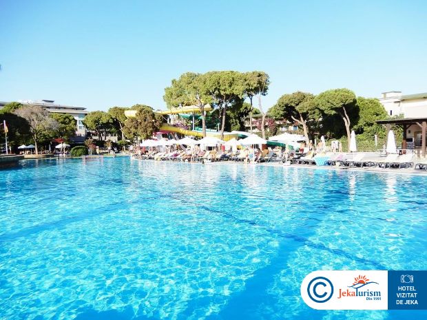 Poze Papillon Ayscha 13