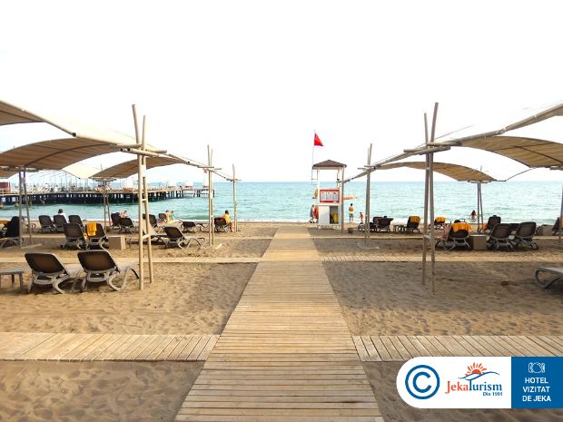 Poze Papillon Ayscha 16