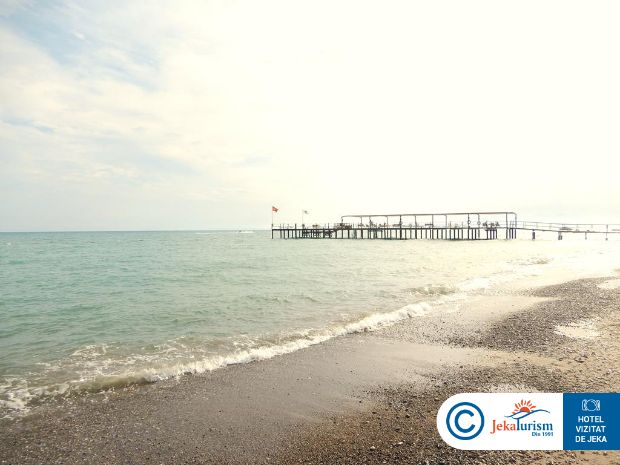 Poze Papillon Ayscha 19