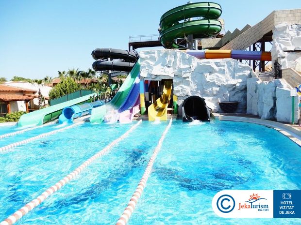 Poze Papillon Belvil 14