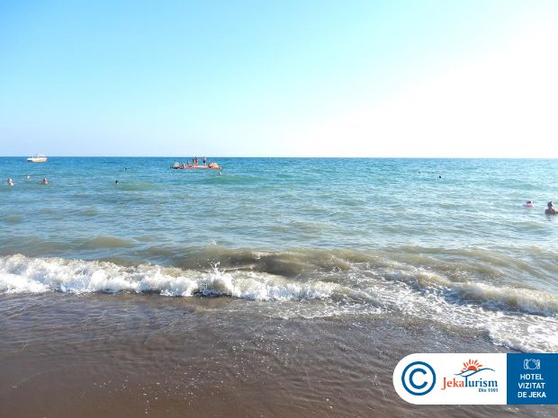 Poze Papillon Belvil 19