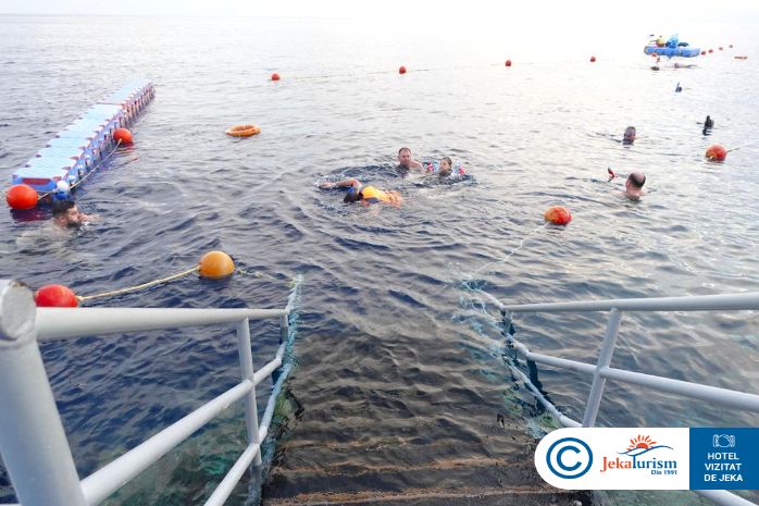 Poze Pickalbatros Palace Sharm 17