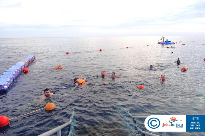 Poze Pickalbatros Palace Sharm 18