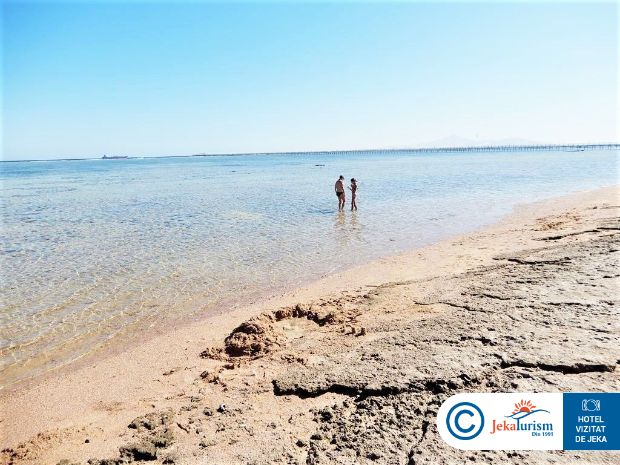 Poze Pickalbatros Royal Moderna Sharm 13