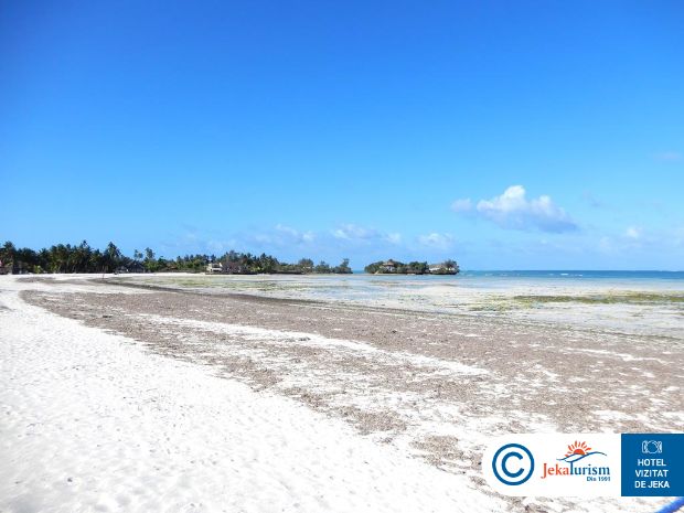 Poze Pongwe Bay Resort 11