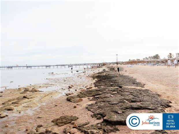 Poze Regency Plaza Aqua Park & Spa Resort 16