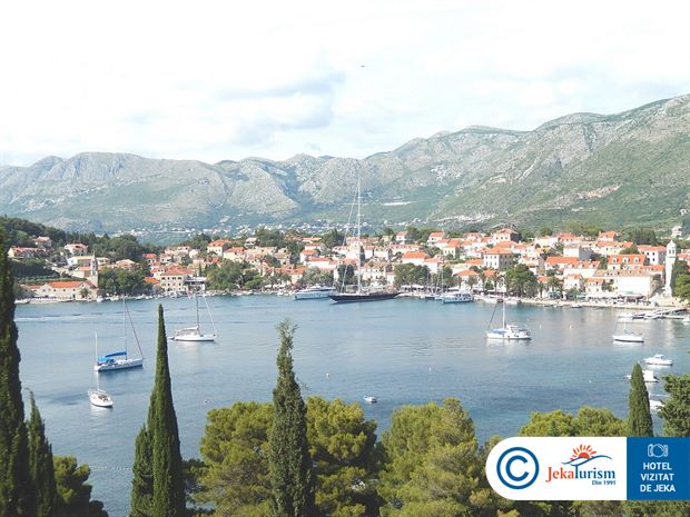 Poze Remisens Albatros 10