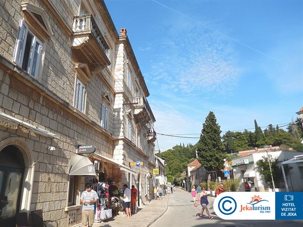 Poze Remisens Albatros 11