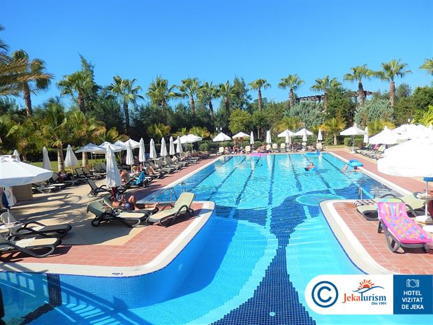 Poze Royal Dragon 10