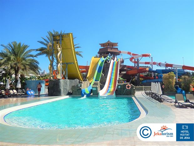 Poze Royal Dragon 11