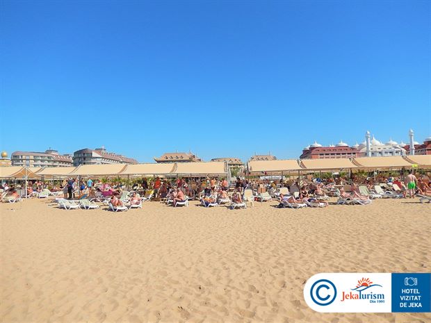 Poze Royal Dragon 13