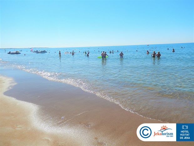 Poze Royal Dragon 15